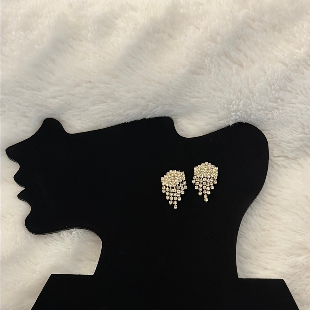 Fashion Earrings
